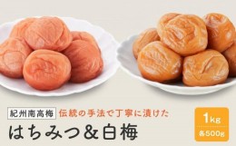 【ふるさと納税】紀州南高梅　はちみつ＆白梅　１ｋｇ（各500ｇ）