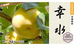 【ふるさと納税】【 先行予約 】 茨城県産 梨 幸水 約5kg 6玉〜12玉 (茨城県共通返礼品 かすみがうら市) (2024年8月上旬発送開始) 産地直