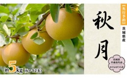 【ふるさと納税】【先行予約】 茨城県産 梨 秋月 約5kg 6玉〜12玉 (茨城県共通返礼品 かすみがうら市) (2024年9月中旬発送開始)  産地直