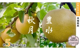 【ふるさと納税】【先行予約】 茨城県産 梨 豊水 と 秋月 の 食べ比べ セット 約5kg 6玉〜12玉 ( 茨城県共通返礼品 かすみがうら市 )  ( 