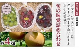 【ふるさと納税】【 先行予約 】 茨城県産【 旬の味覚 】シャインマスカット クイーンニーナ と ピオーネ と 旬 の梨 秋月の詰め合わせ 