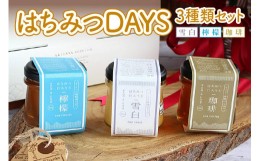 【ふるさと納税】はちみつDAYS3種類セット(雪白90g・檸檬・珈琲) [1036]