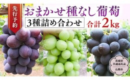 【ふるさと納税】【 2024年 先行予約 】 おまかせ 種なし葡萄 3種 詰め合わせ 約2kg  (茨城県共通返礼品 石岡市） 開田ぶどう園 産地直送