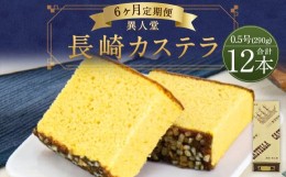 【ふるさと納税】【6ヶ月定期便】 長崎カステラ 0.5号 (290g) 2本入り 異人堂