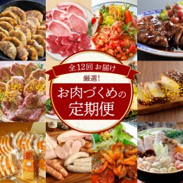 【ふるさと納税】【全12回】厳選！お肉づくめの定期便　H028-069