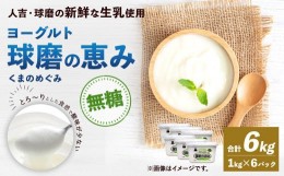 【ふるさと納税】球磨の恵み ヨーグルト 砂糖不使用 1kg×6パック 無糖 乳製品