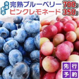 【ふるさと納税】≪先行予約≫冷凍 完熟 ブルーベリー 700g と ピンクレモネード 350g の 詰合せ セット 食べ比べ (1パックあたり 350g )