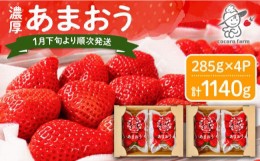 【ふるさと納税】先行予約【2025年1月下旬〜3月下旬発送】ココロファームの 濃厚あまおう 285g × 4P 約1,140g 《豊前市》 苺 いちご あ