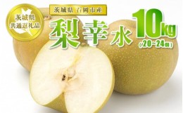 【ふるさと納税】幸水 10kg 20〜24個【茨城県共通返礼品 石岡市】※2024年8月上旬〜8月下旬頃に順次発送予定