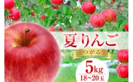 【ふるさと納税】【先行予約 2024年発送】 【 数量限定 】 夏 りんご つがる 5kg 18〜20玉 [長坂りんご園 山梨県 韮崎市 20742332] 果物 