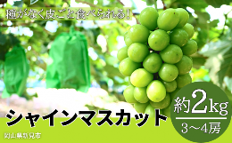 【ふるさと納税】林農園 シャインマスカット 約2kg 3〜4房 【先行予約 2024年10月上旬から順次発送】