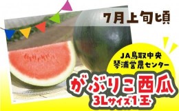 【ふるさと納税】数量限定 鳥取県産 がぶりこ西瓜 1玉（3L）