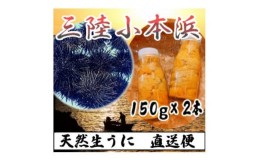 【ふるさと納税】三陸小本浜産　生ウニ(牛乳瓶・150g)2本入り【1409844】