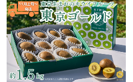 【ふるさと納税】【2024年11月上旬〜順次発送】東京オリジナルキウイ「東京ゴールド」約1.5kg