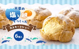 【ふるさと納税】天草の塩と卵でつくったカスタードシュー | 菓子 お菓子 おかし 洋菓子 スイーツ シュークリーム カスタードシュー カス