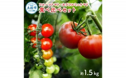 【ふるさと納税】フルーツトマト食べくらべセット 1.5kg トマト フルーツトマト ミニトマト 詰め合わせ セット ふるーつとまと フルーツ