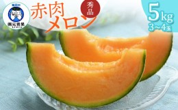 【ふるさと納税】【令和6年産先行予約】 庄内砂丘赤肉メロン 秀品 大玉 約5kg (3〜4玉) 山形県鶴岡市産　株式会社 元青果