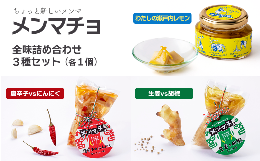 【ふるさと納税】ちょっと新しいメンマ「メンマチョ」全味詰め合わせセット（3種×各1個）