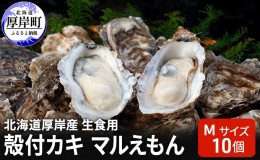 【ふるさと納税】北海道 厚岸産 生食用 殻付カキ Mサイズ 10個 マルえもん 牡蠣