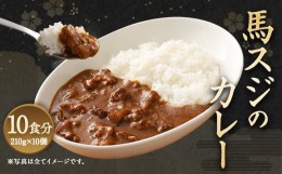 【ふるさと納税】馬スジの カレー 10食セット 10人前 合計2.1kg