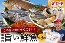 【ふるさと納税】【鮮魚屋にお任せ！大満足の定期便】【定期便】 この男の目利き！〜浜田の旨い鮮魚3回お届けコース〜 定期便 3回 海鮮セ