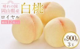 【ふるさと納税】JA06　岡山 白桃 ロイヤル 合計約900g 3玉入り　岡山県産