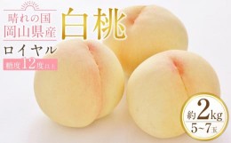 【ふるさと納税】JA08　岡山 白桃 ロイヤル 合計約2kg 5-7玉入り　岡山県産