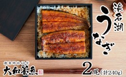 【ふるさと納税】浜名湖うなぎ蒲焼 120g×2尾（計240g） 真空パック 冷蔵 【浜名湖うなぎ・国産うなぎ】