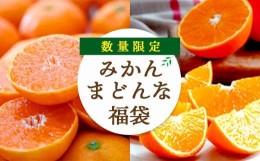 【ふるさと納税】愛媛限定 柑橘 を セット に! 愛媛みかん ・ まどんな 食べ比べ 合計 4kg＜ 訳あり ＞＜C25-118＞_ 蜜柑 ミカン みかん 