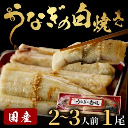 【ふるさと納税】うなぎの白焼き2〜3人前(1尾)