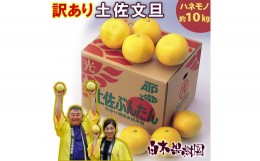 【ふるさと納税】＼果樹園直送／土佐文旦 約10kg（訳あり）〈ご家庭用〉果物 柑橘 フルーツ ぶんたん　ブンタン 分担 高知県土佐市 お取