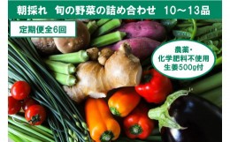 【ふるさと納税】『定期便全6回』栽培期間中に農薬不使用の生姜200gと旬の野菜詰め合わせ10〜13品目 旬の野菜 定期 生姜 野菜 健康 詰め