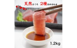 【ふるさと納税】訳あり 天然マグロ2種類 食べ比べ 詰め合わせ1.2kgセット ブロック 小分け 訳アリ 海鮮 魚 冷凍 鮪（まぐろ） 規格外 故