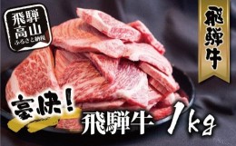 【ふるさと納税】【9月発送】飛騨牛 訳あり焼肉1kg 切り落とし | 牛肉 訳あり 部位 大きさ不揃い 日付指定不可 冷凍 焼き肉 BBQ バーベキ