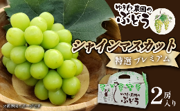 【ふるさと納税】ゆきもと農園 ＜ 特選 ＞ シャインマスカット プレミアム ２房セット　2024年8月〜9月発送