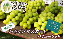 【ふるさと納税】ゆきもと農園 ＜家庭用＞ シャインマスカット バリューセット 約2.1？ 5〜7房　2024年8月〜9月発送