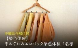 【ふるさと納税】【染色体験】手ぬぐい＆エコバック染色体験　1名様