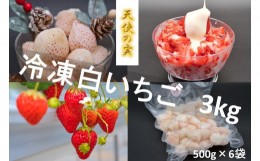 【ふるさと納税】シエルファーム 冷凍白いちご 天使の実 3kg / 苺 千葉 希少品種