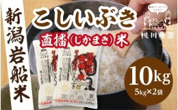 【ふるさと納税】【新米受付・令和6年産米】 村上市桃川産　直播米　泥根性こしいぶき10？  1040004N