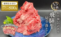 【ふるさと納税】【期間限定】訳あり A5等級 飛騨牛 切り落とし 大容量 1kg | 肉 お肉 不揃い 和牛 国産 冷凍 すき焼き 焼肉 切り落とし 