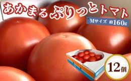 【ふるさと納税】No.218 トマト「あかまるぷりっと」12個 ／ とまと 野菜 欧州品種 希少 栃木県 特産品