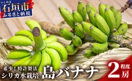 【ふるさと納税】希少！特許製法で作るシリカ水で栽培する特別な「島バナナ」【ふるさと納税 沖縄県石垣市 沖縄 石垣市 石垣島 希少 無農