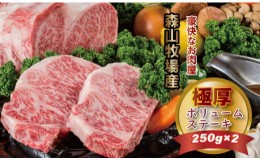 【ふるさと納税】森山牧場産 黒毛和牛ステーキ （250g×2） 黒毛和牛