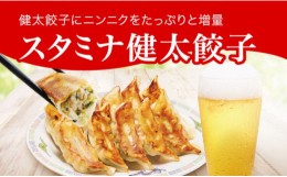 【ふるさと納税】「宇都宮餃子館」スタミナ健太餃子 960g（48個）≪ギョーザ 冷凍餃子 冷凍食品 グルメ 食品 惣菜 中華惣菜 点心 中華≫