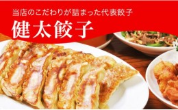 【ふるさと納税】「宇都宮餃子館」健太餃子 960g（48個）≪冷凍餃子 冷凍食品 ギョーザ グルメ 食品 惣菜 中華惣菜 点心 中華≫