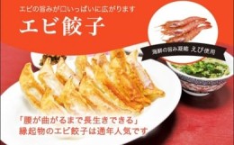 【ふるさと納税】「宇都宮餃子館」エビ餃子　960ｇ（４８個）≪ギョーザ 冷凍餃子 冷凍食品 グルメ 食品 惣菜 中華惣菜 点心 中華≫