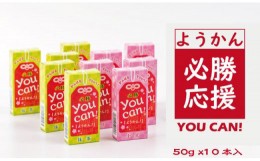 【ふるさと納税】 you can! ようかん10本入（小城羊羹）合格祈願！ 部活応援！