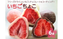 【ふるさと納税】いちご ちょこ 6袋 ｜ 苺 イチゴ チョコ スイーツ ギフト 送料無料※着日指定不可