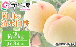 【ふるさと納税】桃 2024年 先行予約 清水 白桃 2kg 6〜8玉 もも モモ 岡山 国産 フルーツ 果物 ギフト 桃茂実苑 