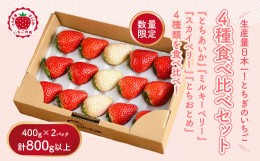 【ふるさと納税】大満足4種食べ比べセット（とちおとめ、ミルキーベリー、とちあいか、スカイベリー）400g×2パック 800g｜先行予約 数量